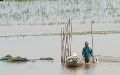 Miền Tây chờ lũ, người dân đầu nguồn sông ngao ngán ngóng cá tôm