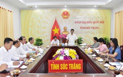 EVNSPC: Hoàn tất báo cáo về ngành trước kỳ họp Quốc hội