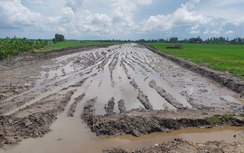 Gần 4 tháng thi công, ba cao tốc trục ngang đã đủ vật liệu?