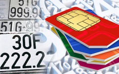 Đề xuất tham khảo đấu giá biển ô tô cho số điện thoại đẹp