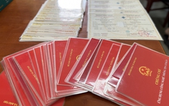 Thêm 4 bị can bị khởi tố liên quan vụ làm giả nhiều văn bằng, chứng chỉ ở An Giang