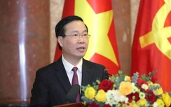 Chủ tịch nước phê chuẩn Hiệp định Tương trợ tư pháp về hình sự giữa Việt Nam và Czech