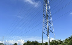 Nhiều trụ điện cao thế ở Khánh Hoà bị kẻ gian tháo trộm thanh giằng