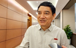 Chủ nhiệm Ủy ban Văn hóa, Giáo dục nói về giải pháp ngăn nạn bạo lực học đường