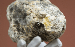 Loại vàng mệnh danh "nước bọt rồng" bị săn nhiều nhất thế giới: Càng trắng càng đắt