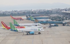 Chuyến bay ở Đà Nẵng phải hủy hạ cánh vì chó chạy vào đường băng