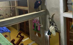 Mưa lớn, hàng trăm người dân ở Quảng Trị tất tả chạy lụt trong đêm