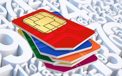 Chế tài nào xử lý việc bỏ cọc khi đấu giá kho số viễn thông?