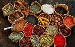 Kết nối nguồn cung cầu dược liệu cổ truyền