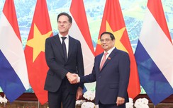 Toàn cảnh lễ đón Thủ tướng Hà Lan Mark Rutte