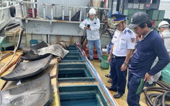 Khởi tố bắt tạm giam kẻ cầm đầu vụ buôn lậu dầu trên biển