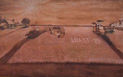 Xác lập kỷ lục Việt Nam "Bức tranh lớn nhất Việt Nam được làm từ gạo ST"