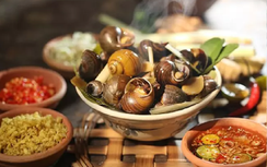 Ai không nên ăn ốc luộc, món quà vặt khoái khẩu mùa đông?