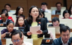 ĐBQH: Cần bảo vệ để người tố cáo không bị trả thù, trù dập