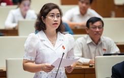 Bỏ mức lương hưu tối thiểu, đại biểu lo "nghèo hóa" trong tương lai