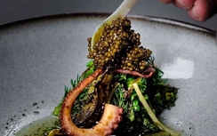 Món ăn thượng hạng mệnh danh "vàng đen", giá ngang ngửa siêu xe có gì mà đắt vậy?