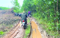 Quảng Ninh: Dân tá hỏa vì đất rừng sau 20 năm về tay chủ lạ