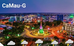 Đôn đốc cài đặt, sử dụng ứng dụng Chính quyền điện tử tỉnh Cà Mau