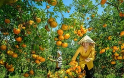 Tết này vi vu đâu?