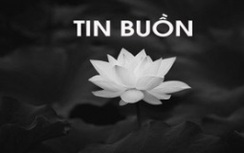 TIN BUỒN