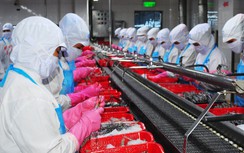 Nhóm hàng xuất khẩu duy nhất tăng trưởng dương trong 10 tháng qua