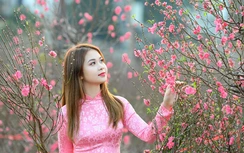 Thủ tướng chốt phương án nghỉ Tết Nguyên đán 7 ngày, nghỉ lễ Quốc khánh 4 ngày