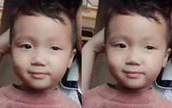 Bé trai 2 tuổi mất tích bí ẩn, cả làng trắng đêm tìm kiếm 