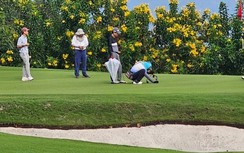 Bắc Ninh lập đoàn kiểm tra, xử lý loạt lãnh đạo đi chơi golf trong giờ hành chính