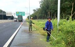 Phát quang khu vực cỏ dại xâm lấn cao tốc Phan Thiết - Dầu Giây Báo Giao thông phản ánh