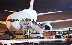 Nhật Bản hỗ trợ sơ tán 4 công dân Việt Nam khỏi Israel