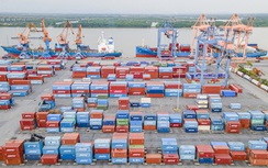 Doanh nghiệp cảng biển tưng bừng báo lãi