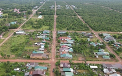 Vỡ mộng đổi đời ở mảnh đất nhiều không tại Đắk Lắk: Lãnh đạo huyện nói gì?
