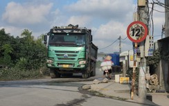 "Binh đoàn" xe phục vụ dự án quần thảo đường đê ở Nam Định