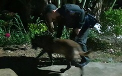 Huy động chó nghiệp vụ hỗ trợ tìm kiếm bé trai 2 tuổi mất tích bí ẩn hai ngày qua