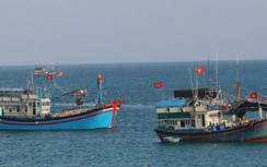 Giám đốc trung tâm đăng kiểm tàu cá ở Cà Mau tử vong trong phòng làm việc