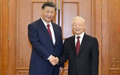 Thúc đẩy quan hệ Việt - Trung phát triển vững chắc, ổn định trên tầm cao mới