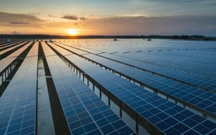 Tất cả các tỉnh đều không cam kết chắc chắn về sai phạm điện mặt trời