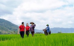 Bộ Nông nghiệp và Phát triển nông thôn - Agribank ký Bản ghi nhớ cung ứng sản phẩm dịch vụ