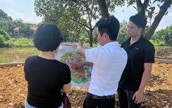 Thị trường bất động sản 2024 diễn biến thế nào?