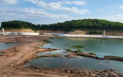 Khai thác khi chưa được phép, Điện lực Jaks Hải Dương phải nộp 2,6 tỷ