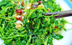 Loại cỏ dại là vị thuốc quý ngừa ung thư, hương vị ngon lạ