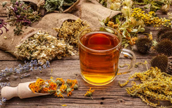 Loại hoa đem ngâm mật ong dùng tốt hơn thuốc bổ lại còn chống viêm