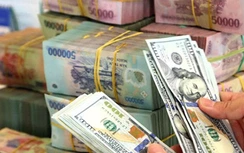 Xuất hiện chiêu tinh vi mạo danh luật sư lừa đảo qua dịch vụ "lấy lại tiền"