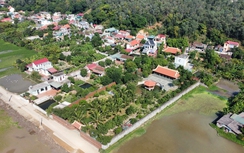 Trúng đấu giá chiếm luôn đất làm đường