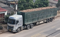 Hiểm họa từ xe moóc rào chở quá tải