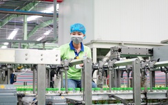 Cơ hội phát triển xuất khẩu từ mô hình kinh doanh bền vững