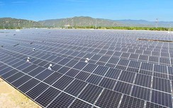 Hàng loạt dự án điện tái tạo ở Bình Thuận xây dựng khi Thủ tướng chưa cho phép