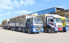 Gia Lai: Tăng cường kiểm soát, ngăn xe chở mía quá tải