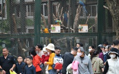 Người dân dựng lều, trải bạt, đổ xô về các công viên ở Hà Nội dịp nghỉ Tết
