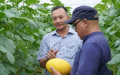 Hậu Giang làm du lịch nông nghiệp theo hướng "nhà có số, đường có hoa"